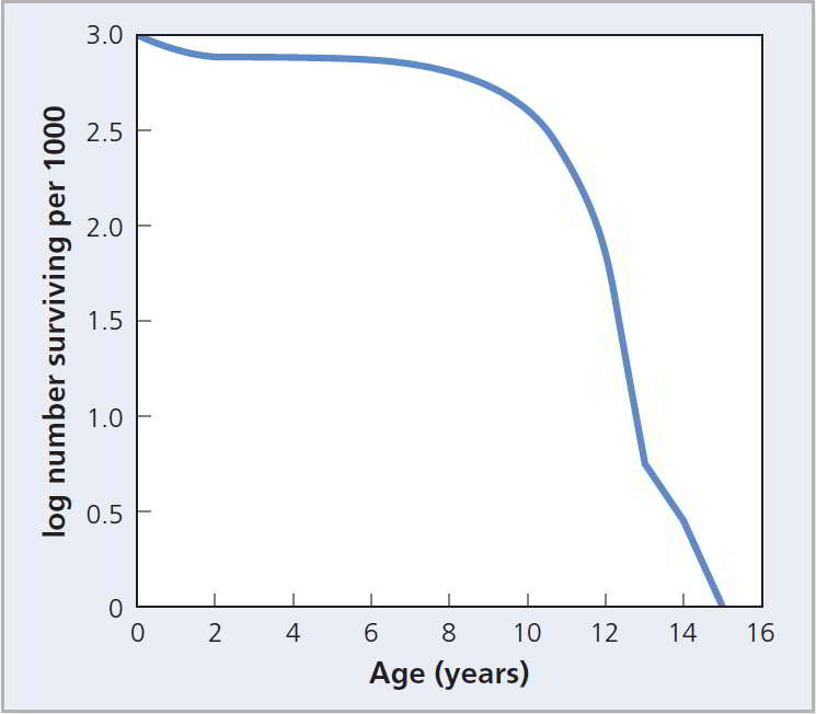 The graph plots log number surviving per 1000 from 0 to 3.0, versus the age in years from 0 to 16. 0, 3.0; 6, 2.8; 10, 2.7; 12, 2.5; 15, 0. 