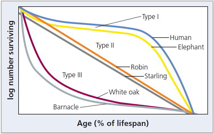 The graph plots log number surviving versus age percent of lifespan. The graph looks like a rounded parallelogram. The right side is Type 1, which is Human and Elephant. Type 2 is the diagonal line that shows Robin and Starling. Type 3 is the left side, which has White Oak and Barnacle.