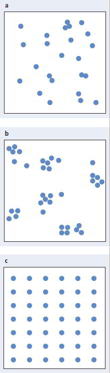 Inside a square, there are random dots. Inside another square, there are clusters of dots. Inside another square, there are dots arranged in seven rows and six columns.