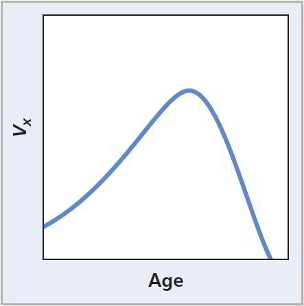 The graph plots V X versus Age. The graph extends like a triangular mountain.