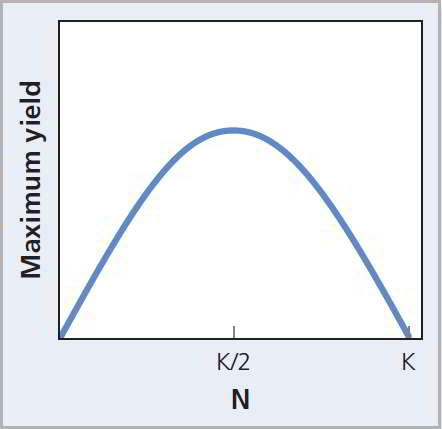 The graph plots maximum yield versus N. The curve is a bell curve and the center peak is at K over 2. The right end of the bell ends at K.