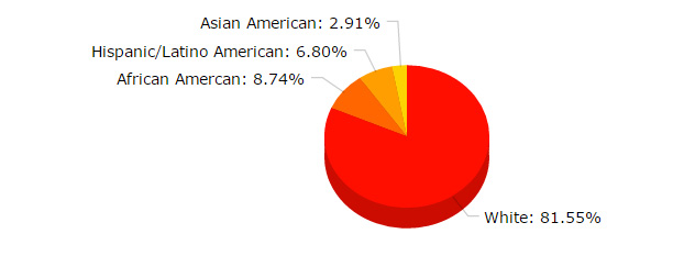 Asian American - 2.91% / Hispanic/Latino - 6.80% / African American - 8.74% / White - 81.55%