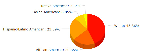 Native American - 3.54% / Asian American - 8.85% / Hispanic/Latino - 23.89% / African American - 20.35% / White - 43.36%