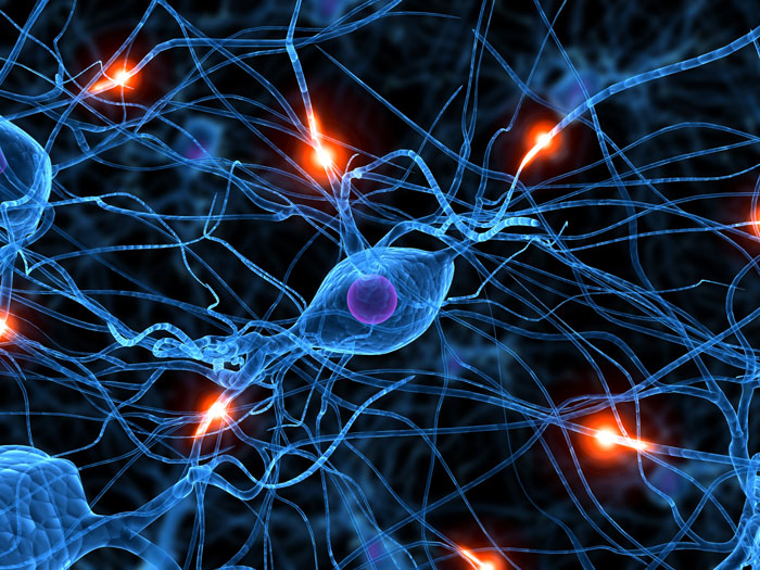 Image of synapses